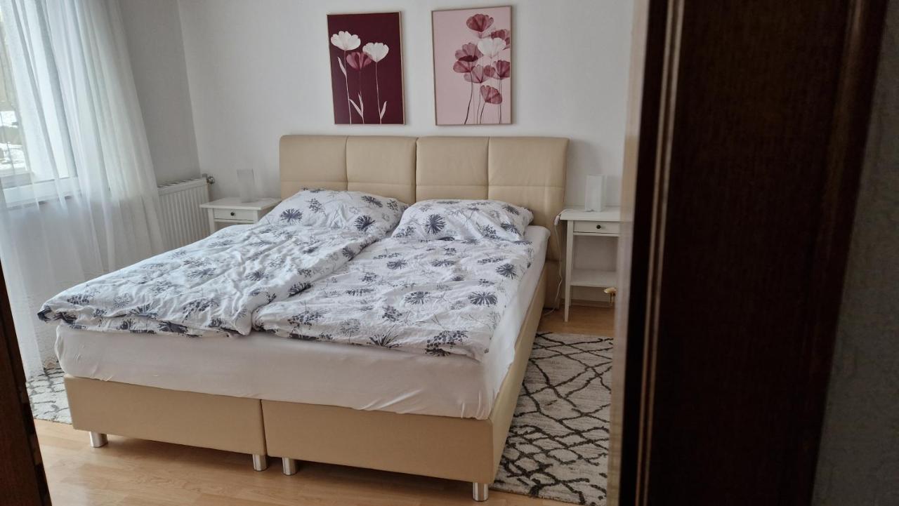 Ferienwohnung Edeltraud, Fusslaeufig Zum See Und 20 Minuten Vom Skigebiet Entfernt Добриах Экстерьер фото